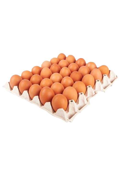Egg
