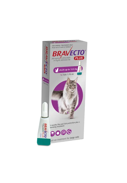 Bravecto Plus Cat Spot On 6.25-12.5kg