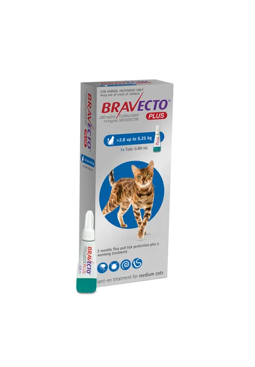 Bravecto Plus Cat Spot On 2.8-6.25kg