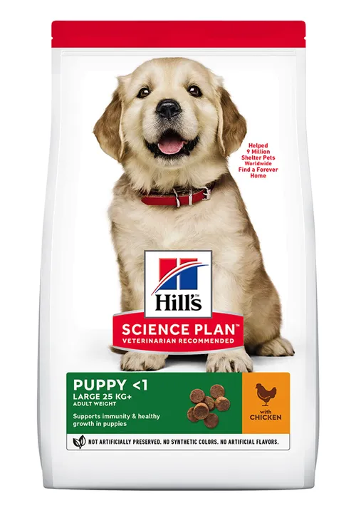 Hills Puppy Large Breed 2.5kg