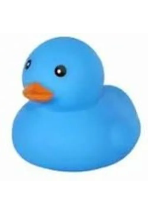 Blue Duck