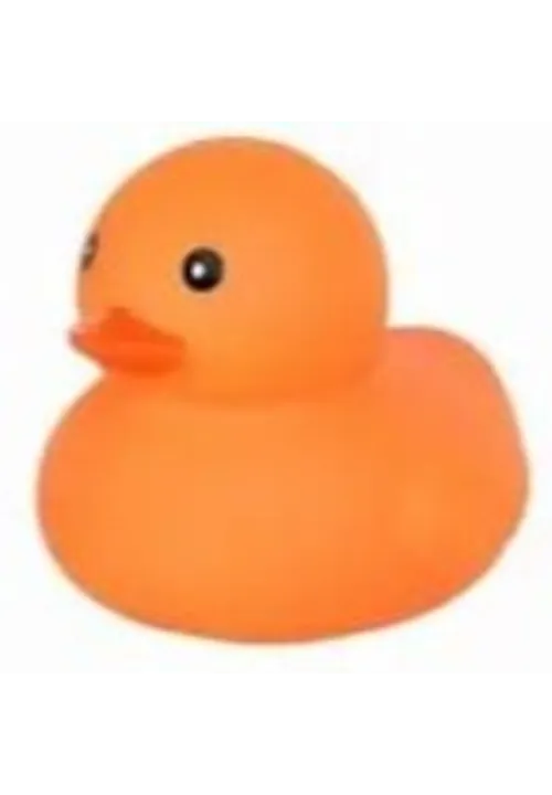 Orange Duck
