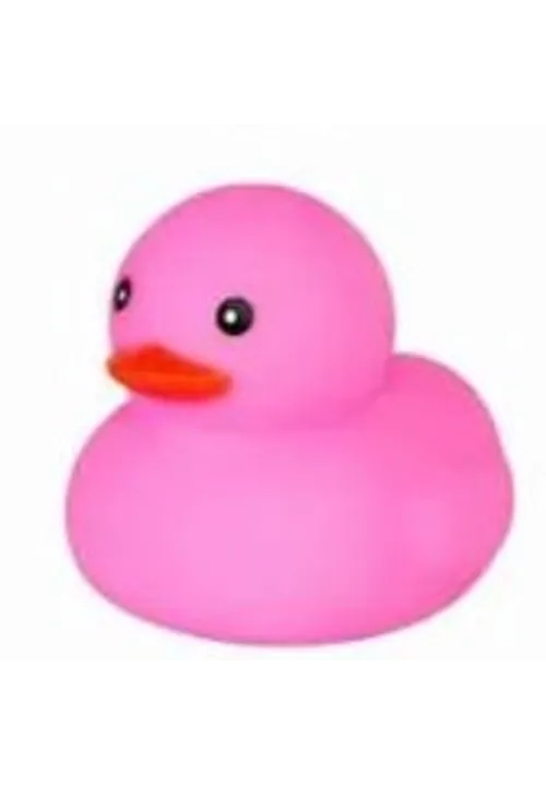 Pink Duck