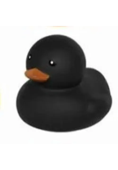 Black Duck