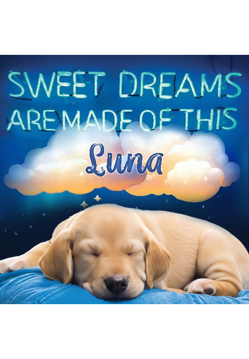  Sweet Dreams photo to art