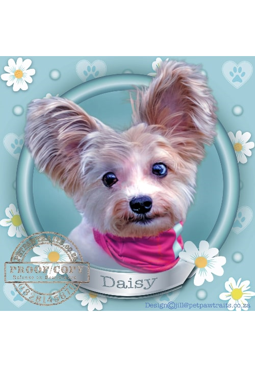 Daisy Portal