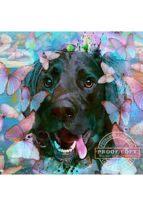 Butterfly splash pet to art