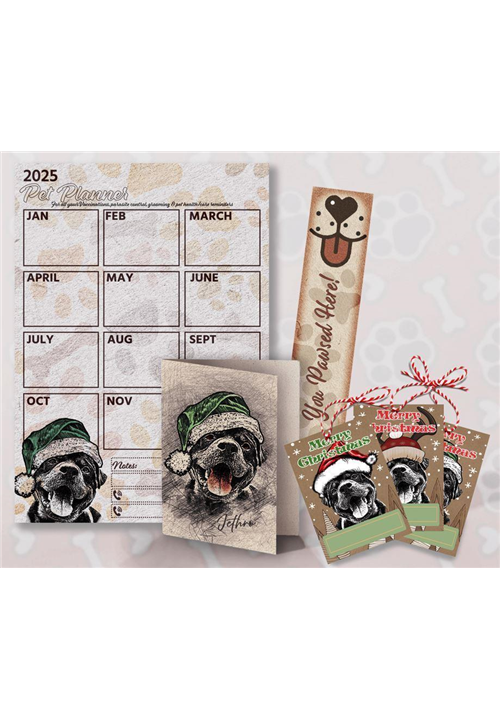 Festive Pet Pack 