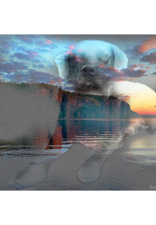 Photomontage Landscape