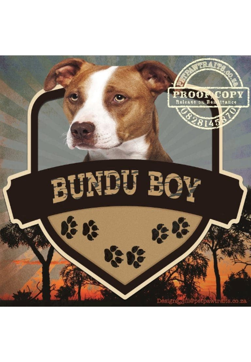 Bundu boy photo to art