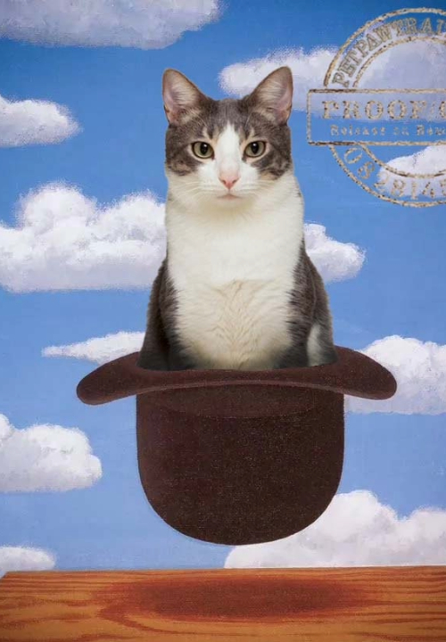 Cat in the Hat (Collage)