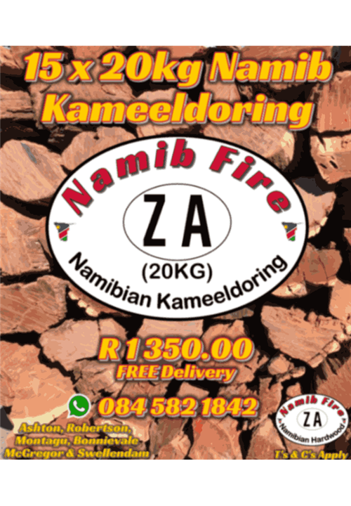 15 x Namibian Kameeldoring (