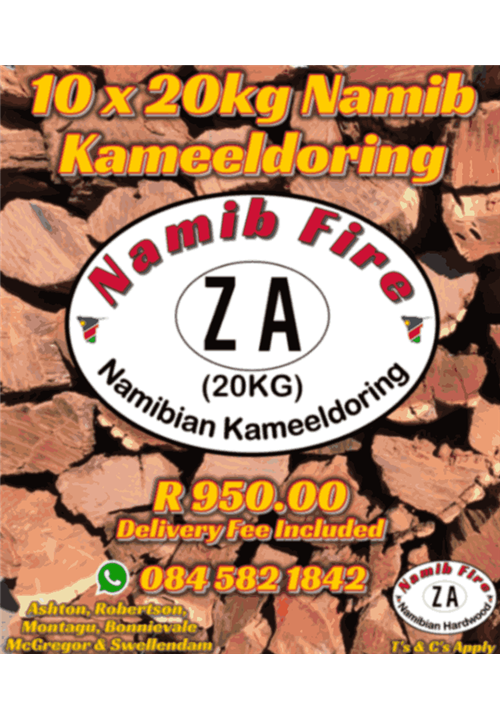 10 x Namibian Kameeldoring (