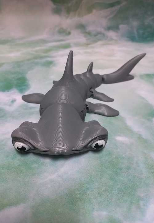 Hammerhead Shark