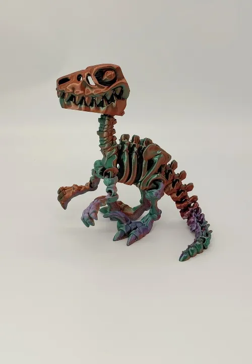 Velociraptor Skeleton