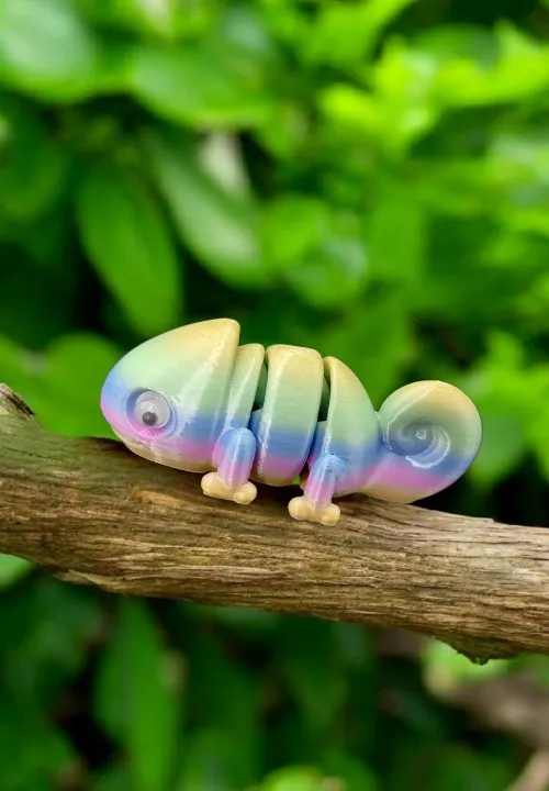 Chameleon Keychain/Pocket Pal