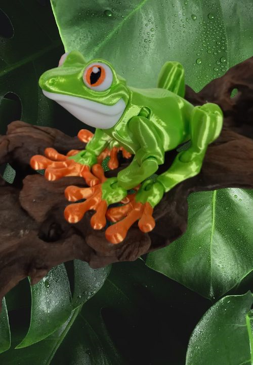 Tree Frog